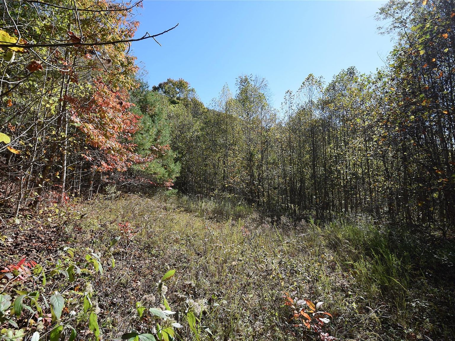 0 Pate Creek Rd, Green Mountain, NC 28740 MLS 4013646 Zillow