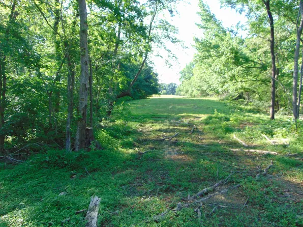 1245 County Road 496, Lexington, AL 35648