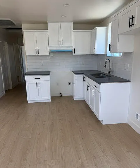 1243 1/2 W 41st Pl — Photo 1