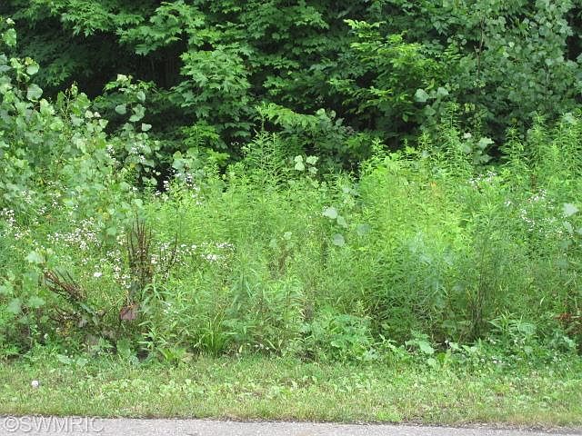 1st image of 147 Sweet William Ln