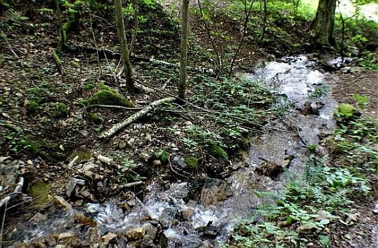 Natural springs and creeks.