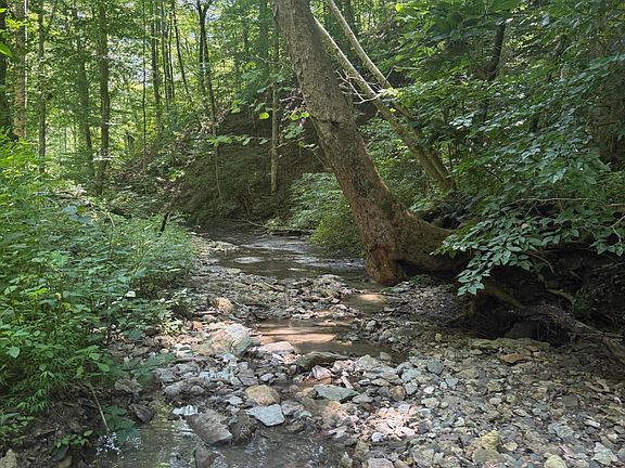 5th image of Flatwoods Rd