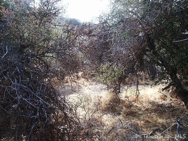2nd image of 24780 Diamond Ct