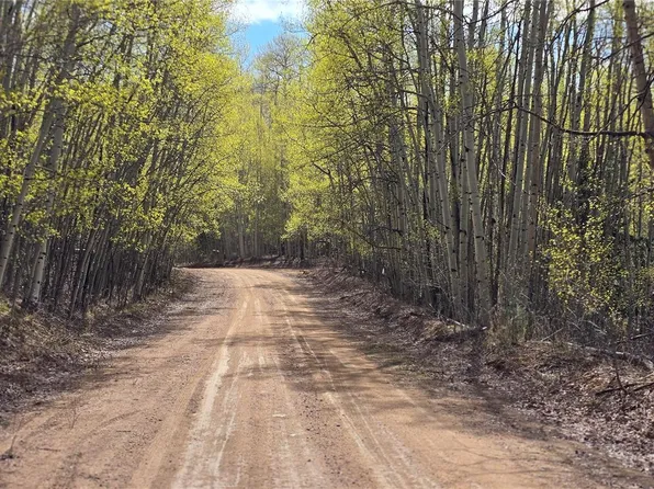 Lot 5902 Slegers Road LOT 5902, Fort Garland, CO 81133