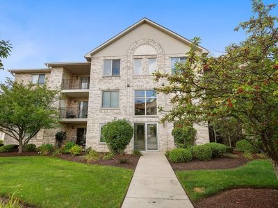 6825 Forestview Dr APT 1D, Oak Forest, IL, 60452