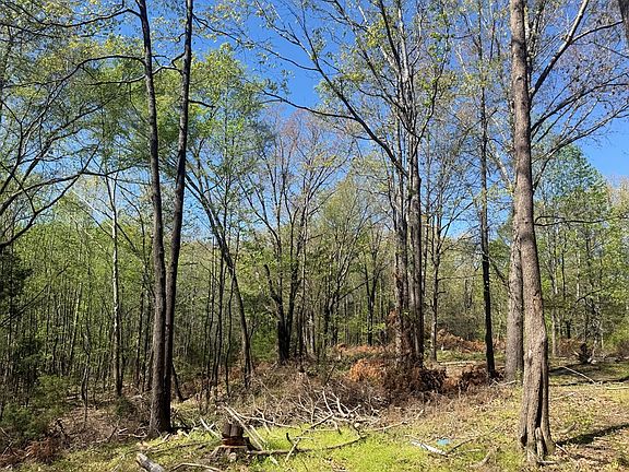3rd image of 2366 Sandhill Rd