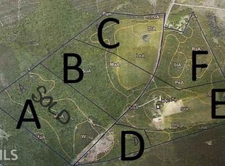 0 Harry Lindsay Parcel #F, Guyton, GA 31312