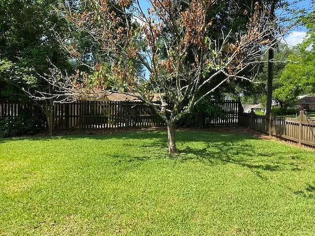 2300 Aster Way — Photo 27