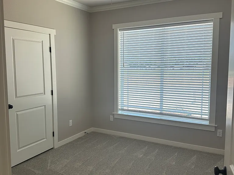 5038 Shefflera Dr — Photo 18