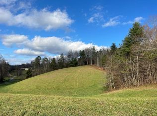 Blue Mill Rd, Del Rio, TN 37727