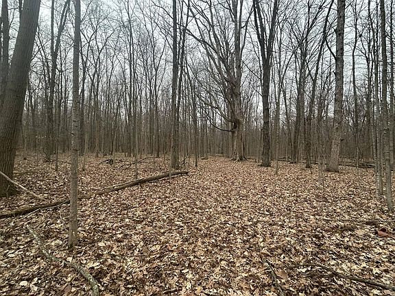 4th image of S Pittsford Rd #-v/l