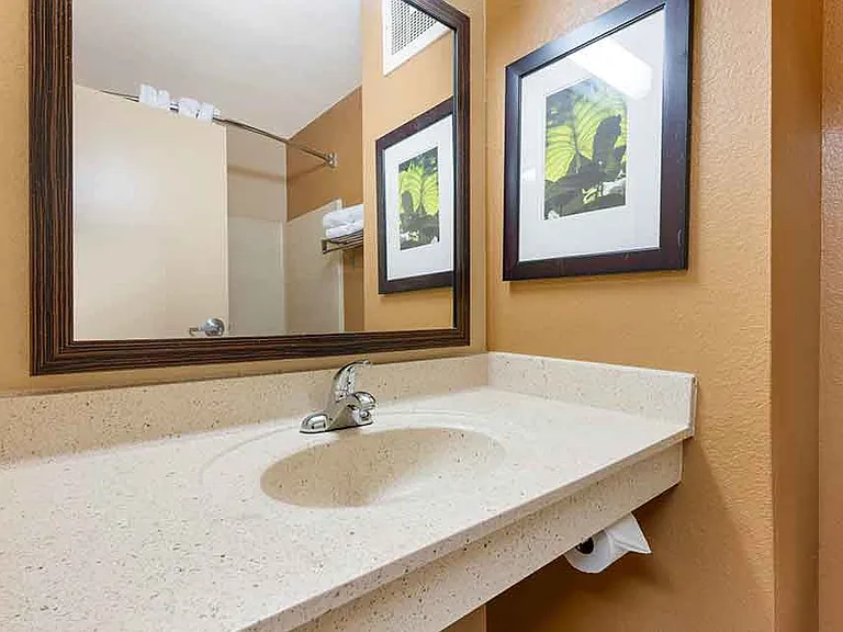 Studio Suite - 2 Full Beds