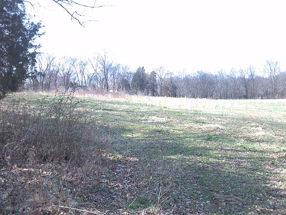 Another of Back Field