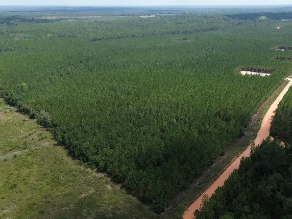 TRACT 1 Penny Morris Rd, Baxley, GA 31513