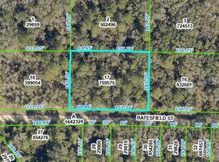 35013 Batesfield St #17, Webster, FL 33597