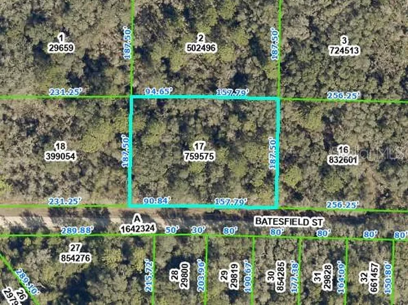 35013 Batesfield St #17, Webster, FL 33597