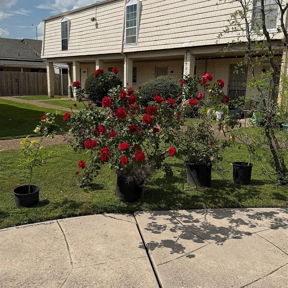 3 bed, 2.5 bath, 1472 sqft, $1,600 — Photo 1