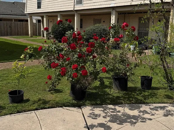 6201 Ranchester Dr, Houston, TX