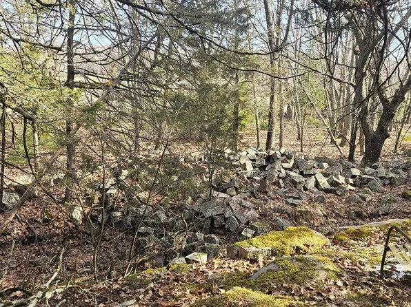 County Road Ee, Redgranite, WI 54970