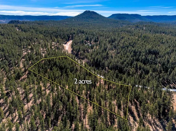 LOT 20 Caledonia Trl, Custer, SD 57730