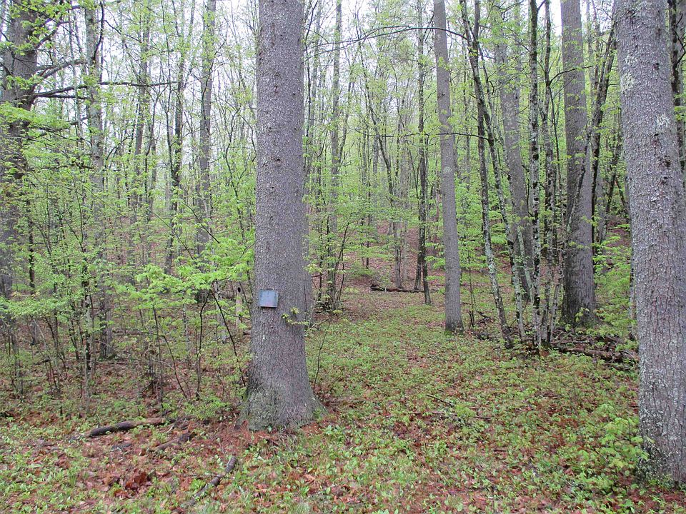 2nd image of 72 Brewster Road