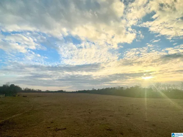 2870 County Road 30 #1, Clanton, AL 35045