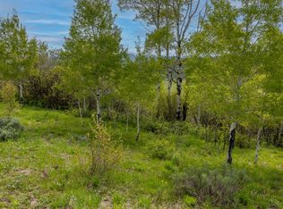 0 Grouse Loop Rd, Freedom, WY 83120