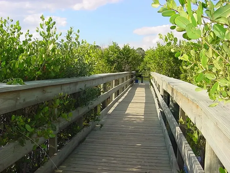 boardwalk to another one of the community's 5 docks