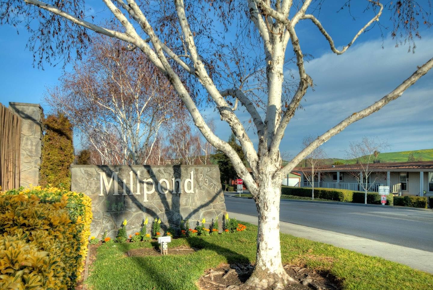 425 Millpond Dr 425, San Jose, CA 95125 Zillow