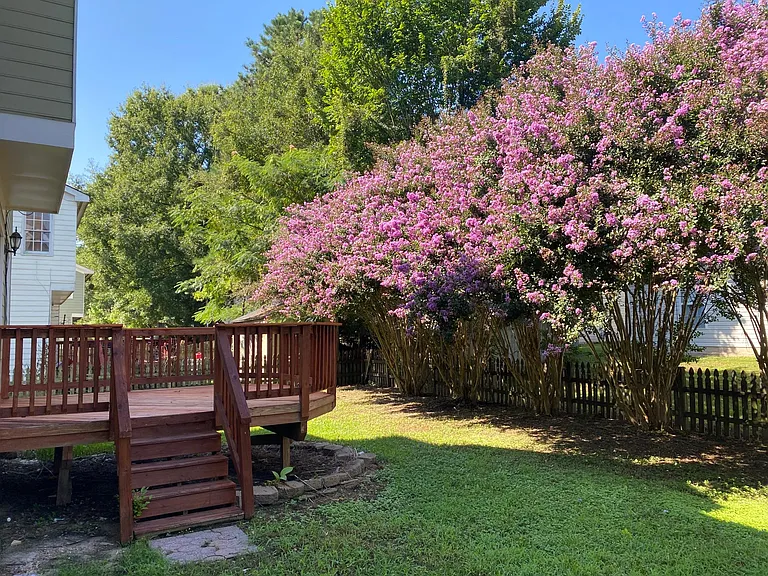 537 Mountain Lake Dr — Photo 14