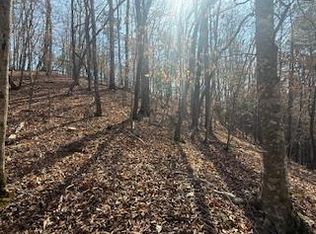 2119 Newport Dr, Ellijay, GA 30540