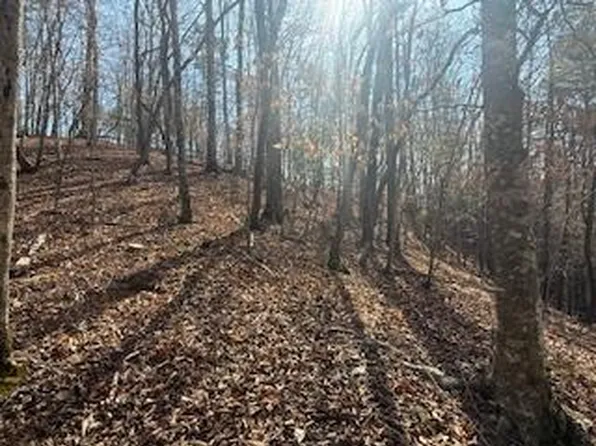 2119 Newport Dr, Ellijay, GA 30540