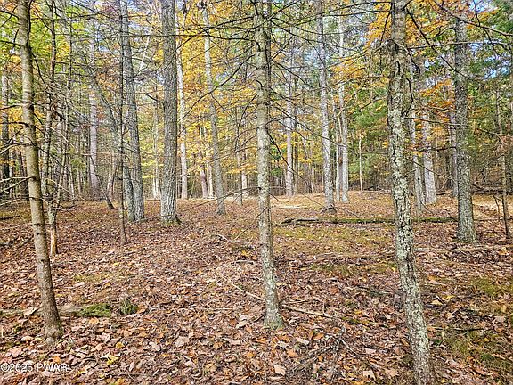 4th image of LOT-440R Autumn Ct