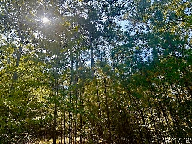 2nd image of 825 Piney Rd