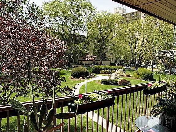 Quiet Courtyard View