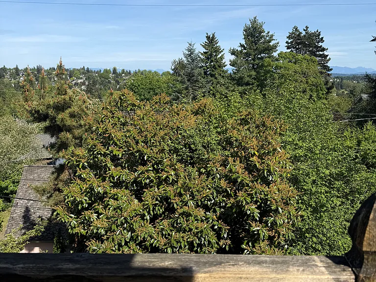 5604 17th Ave NE #5 — Photo 14