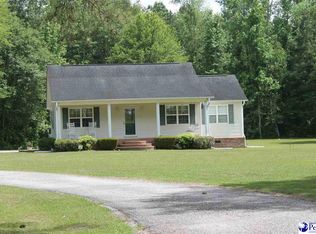 338 E Saint Luke Church Rd, Johnsonville, SC 29555