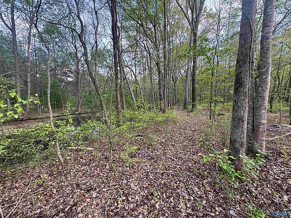 4th image of LOT 9 County Road 496