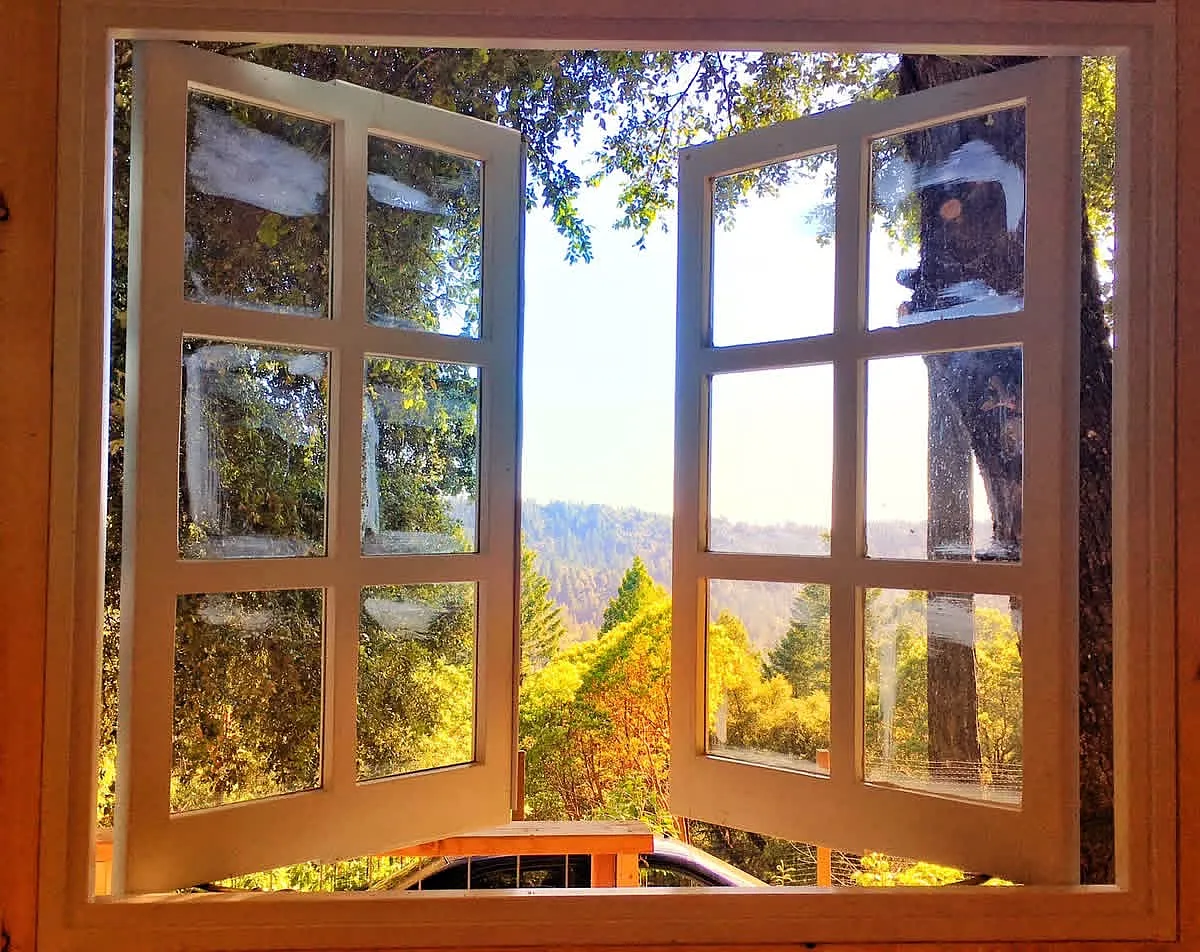 Bear Ct, Willits — Photo 2