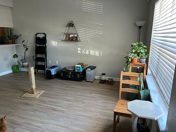 downstairs living room