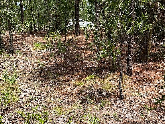4th image of 5856 W Corral Pl