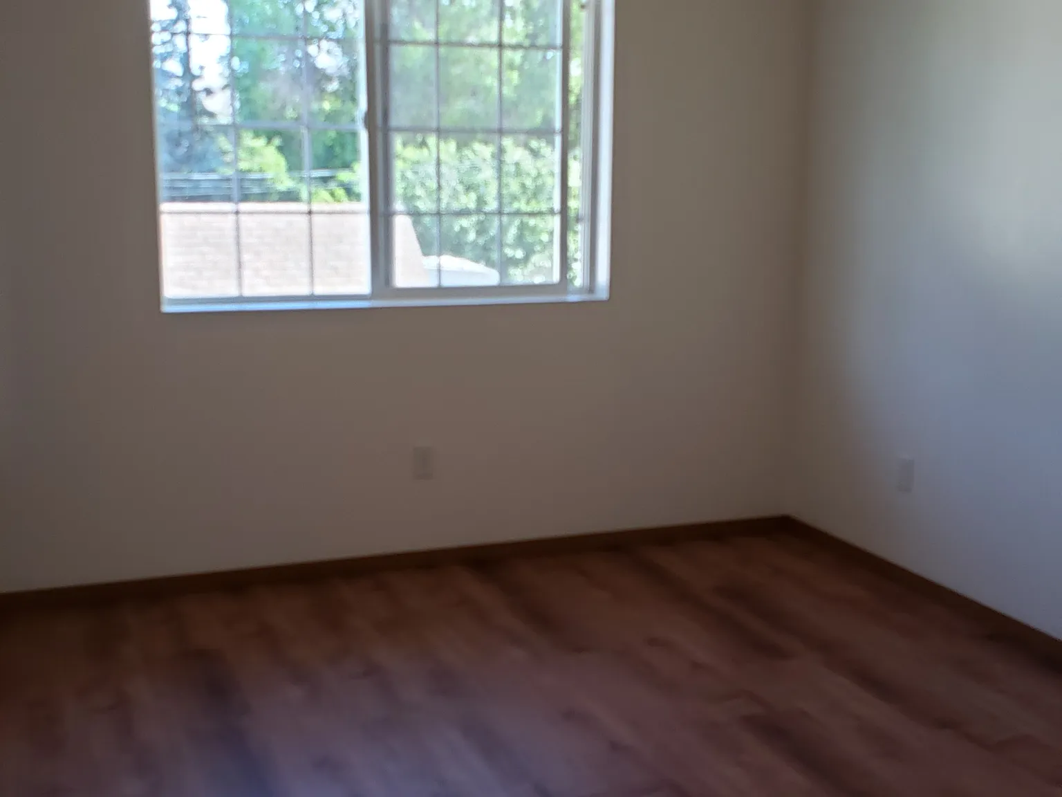 3 bed, 1000 sqft, $1,650 — Photo 3