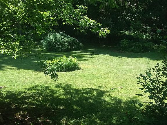 Backyard view from house