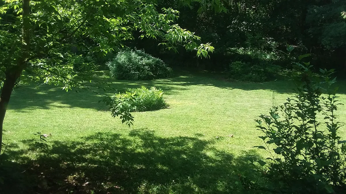 Backyard view from house - 103 Sherbrooke Rd