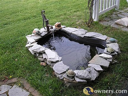 Goldfish pond