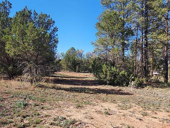3rd image of 3120-3122 Whitetail Way
