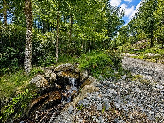 4th image of Lot #96 Eagles Nest Trail