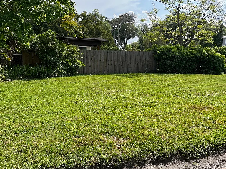 Back yard