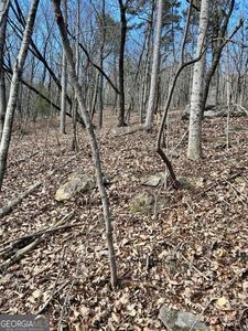 000 Wauka Mountain Ter, Clermont, GA, 30527