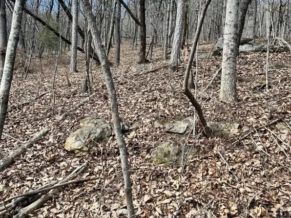 000 Wauka Mountain Ter, Clermont, GA 30527